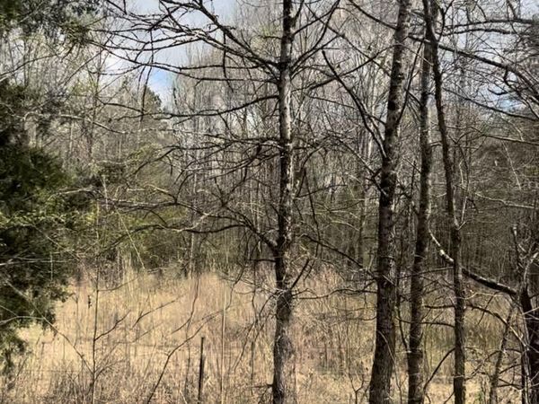 Lot 4 Matthews Drive, Byhalia, MS 38611