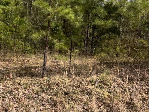 Lot 6 Matthews Drive, Byhalia, MS 38611