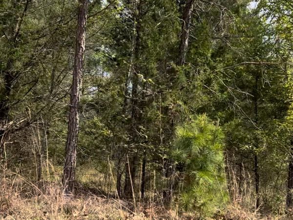 Lot 7 Matthews Drive, Byhalia, MS 38611