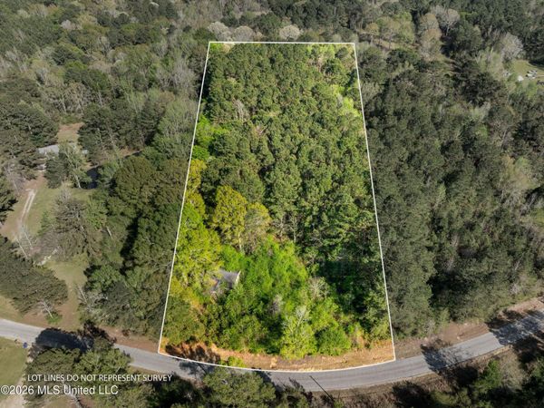 3 Acres Will Barber Road, Pinola, MS 39149