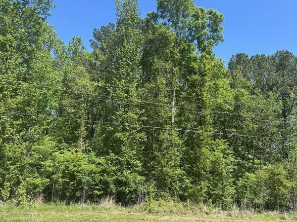 Robinson Springs Road, Madison, MS 39110