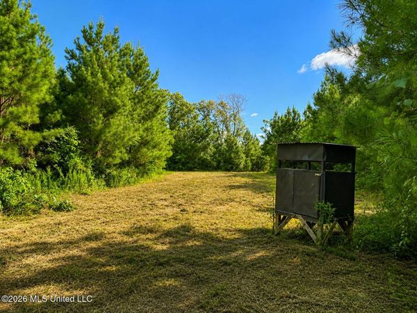 00 SW Auburn Drive, Bogue Chitto, MS 39629