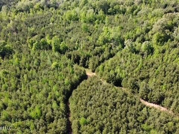 00 SW Auburn Drive, Bogue Chitto, MS 39629