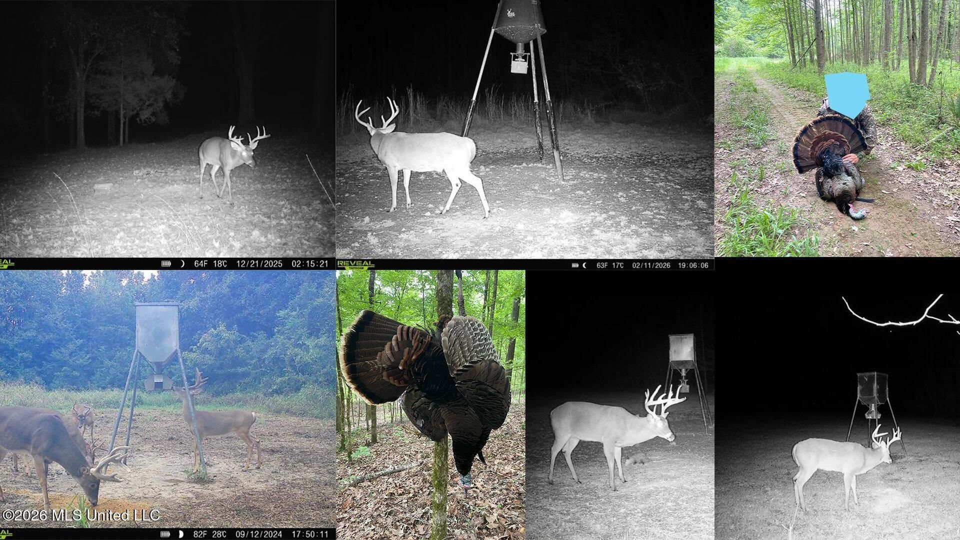 2484 Freeman Road, Fayette, MS 39069 Main Photo