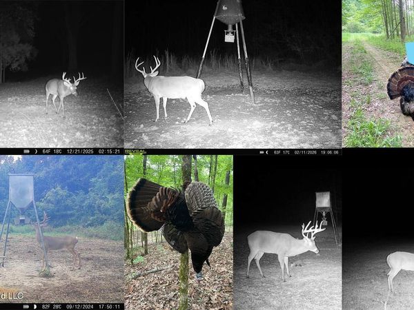 2484 Freeman Road, Fayette, MS 39069