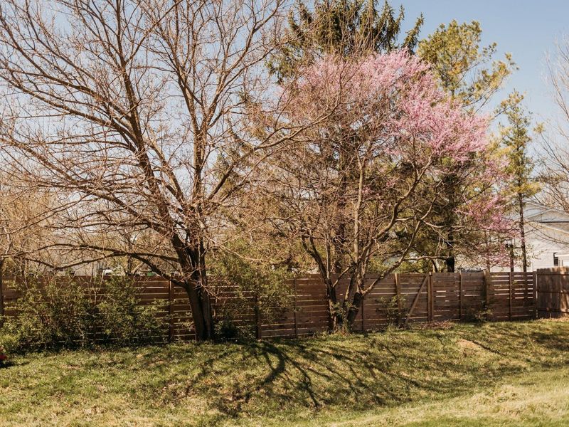 1121 Sheffield Boulevard, London, OH 43140 Photo 23