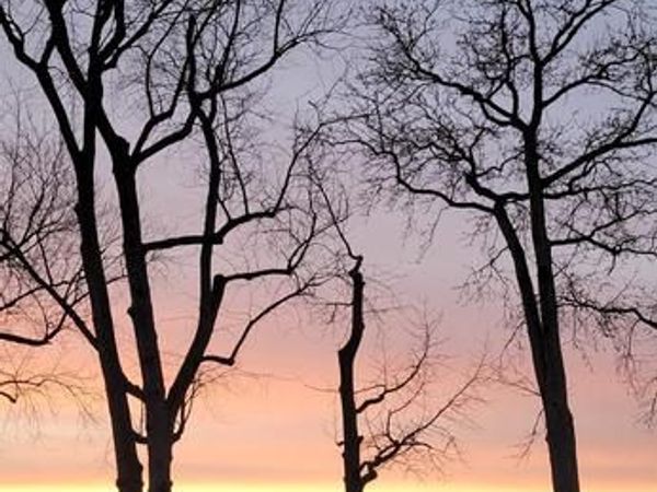 222 BAR HARBOR ROAD , PASADENA, MD 21122