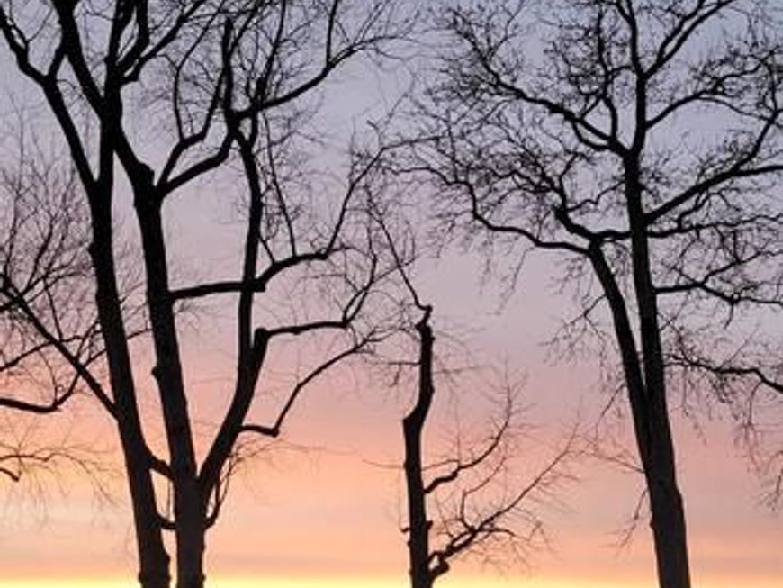 222 Bar Harbor Road , Pasadena, MD 21122 Main Photo