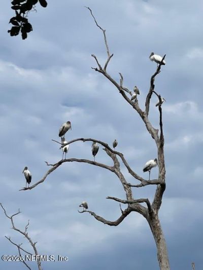 1750 Harrington Park Drive, Jacksonville, FL 32225 Photo