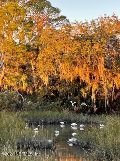 1750 Harrington Park Drive, Jacksonville, FL 32225 Photo