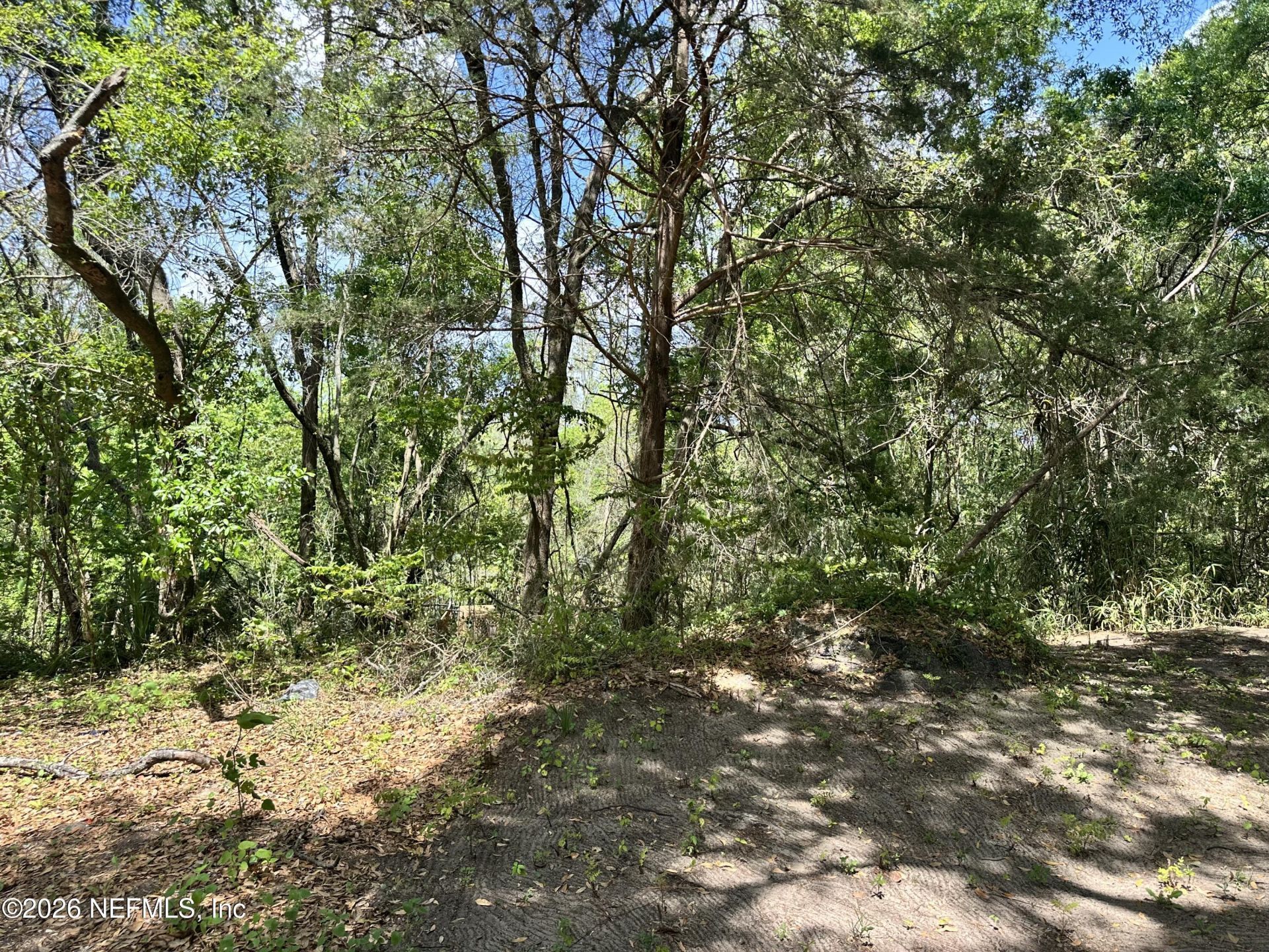 0 10th Avenue, Jacksonville, FL 32208 Photo