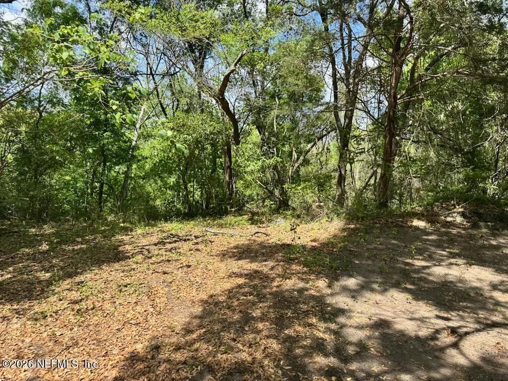 0 10th Avenue, Jacksonville, FL 32208 Photo