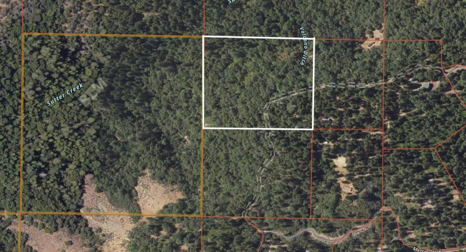 24100 Canterbury Rd, Pioneer, CA 95666 Photo