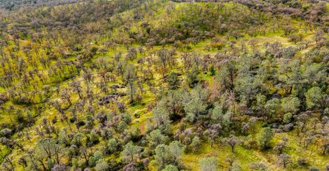 40 Acres Ascension Ln, Pilot Hill, CA 95664 Photo