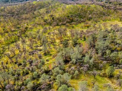 40 Acres Ascension Ln, Pilot Hill, CA 95664 Photo