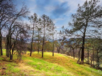40 Acres Ascension Ln, Pilot Hill, CA 95664 Photo