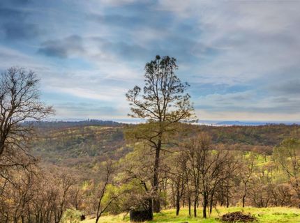 40 Acres Ascension Ln, Pilot Hill, CA 95664 Photo