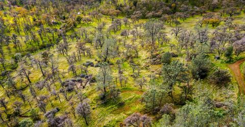 40 Acres Ascension Ln, Pilot Hill, CA 95664 Photo