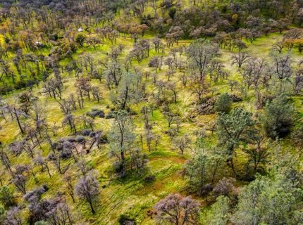 40 Acres Ascension Ln, Pilot Hill, CA 95664 Photo