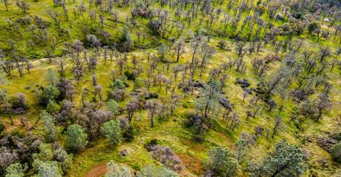 40 Acres Ascension Ln, Pilot Hill, CA 95664 Photo