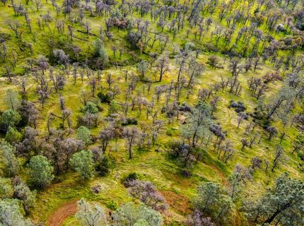 40 Acres Ascension Ln, Pilot Hill, CA 95664 Photo
