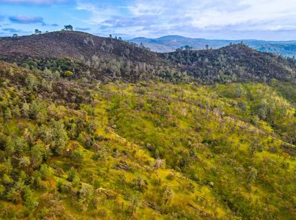 40 Acres Ascension Ln, Pilot Hill, CA 95664 Photo
