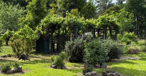 6231 Calgary Ave, Sacramento, CA 95841 Photo