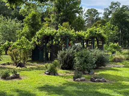 6231 Calgary Ave, Sacramento, CA 95841 Photo