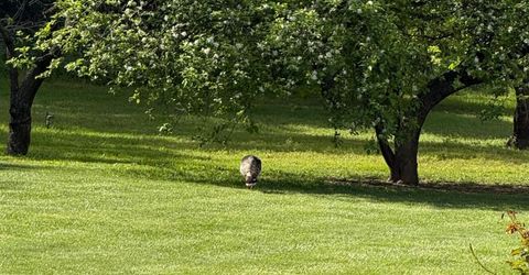 6231 Calgary Ave, Sacramento, CA 95841 Photo