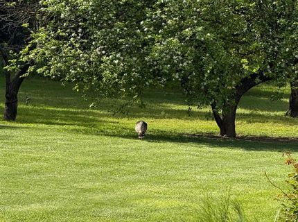 6231 Calgary Ave, Sacramento, CA 95841 Photo