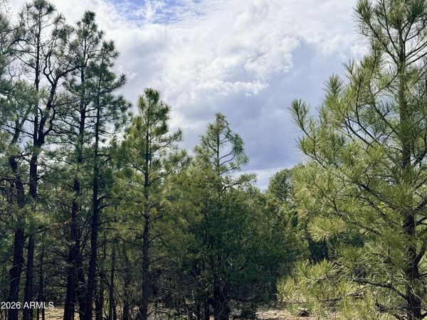 2588 Spoonbill Drive, Unit 7, Happy Jack, AZ 86024