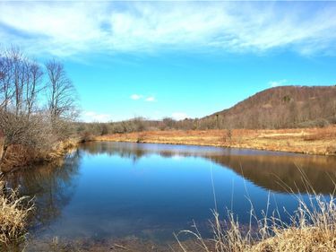 5306 Route 16, Hinsdale, NY 14743