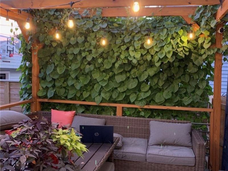 14931 Lakewood Heights Boulevard, Lakewood, OH 44107 Photo 25