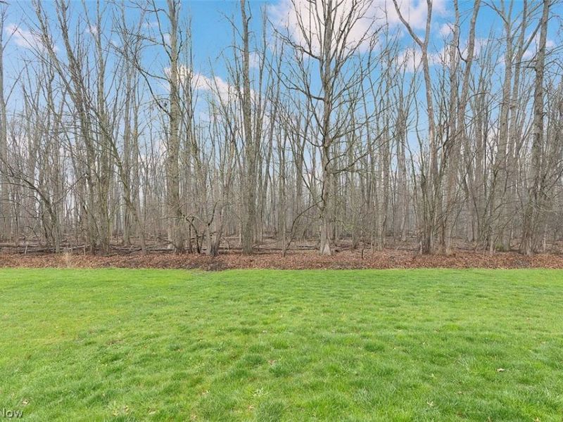 6584 Amber Way, North Ridgeville, OH 44039 Photo 36