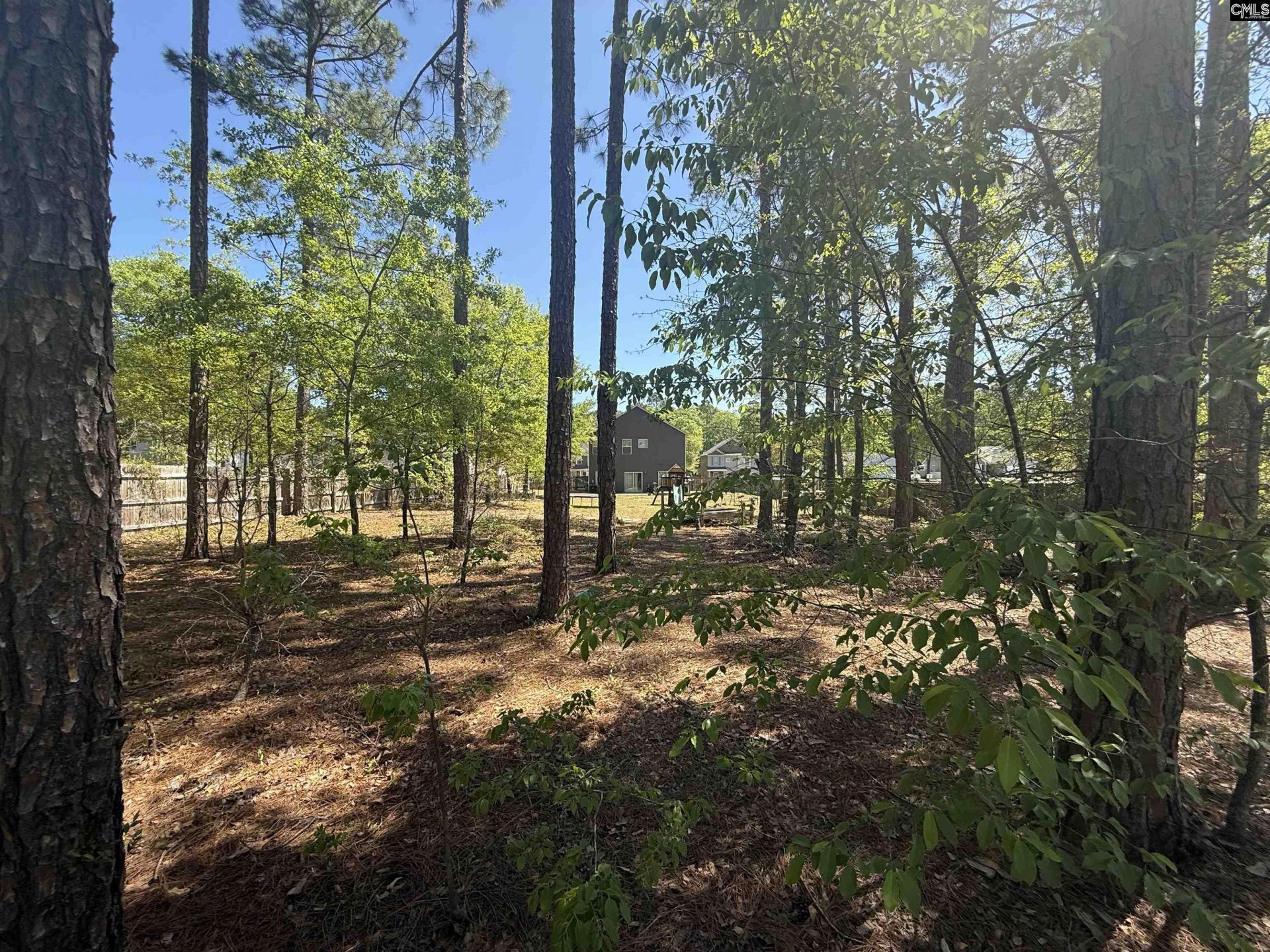 161 Graceland Court Photo 4