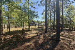 161 Graceland Court photo 4