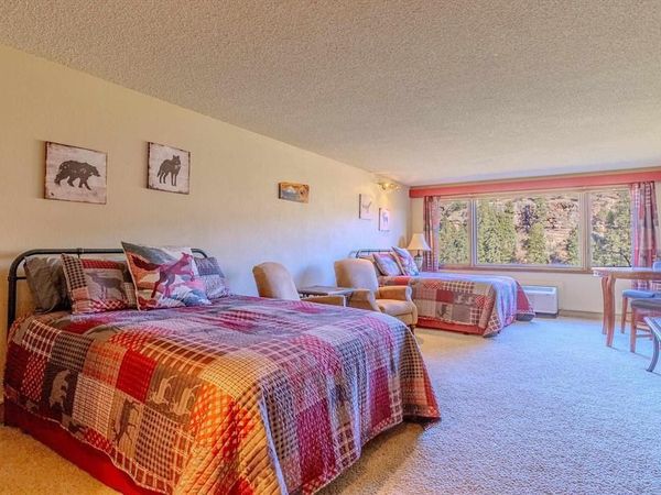 314 N Tamarron Dr, Durango, CO 81301