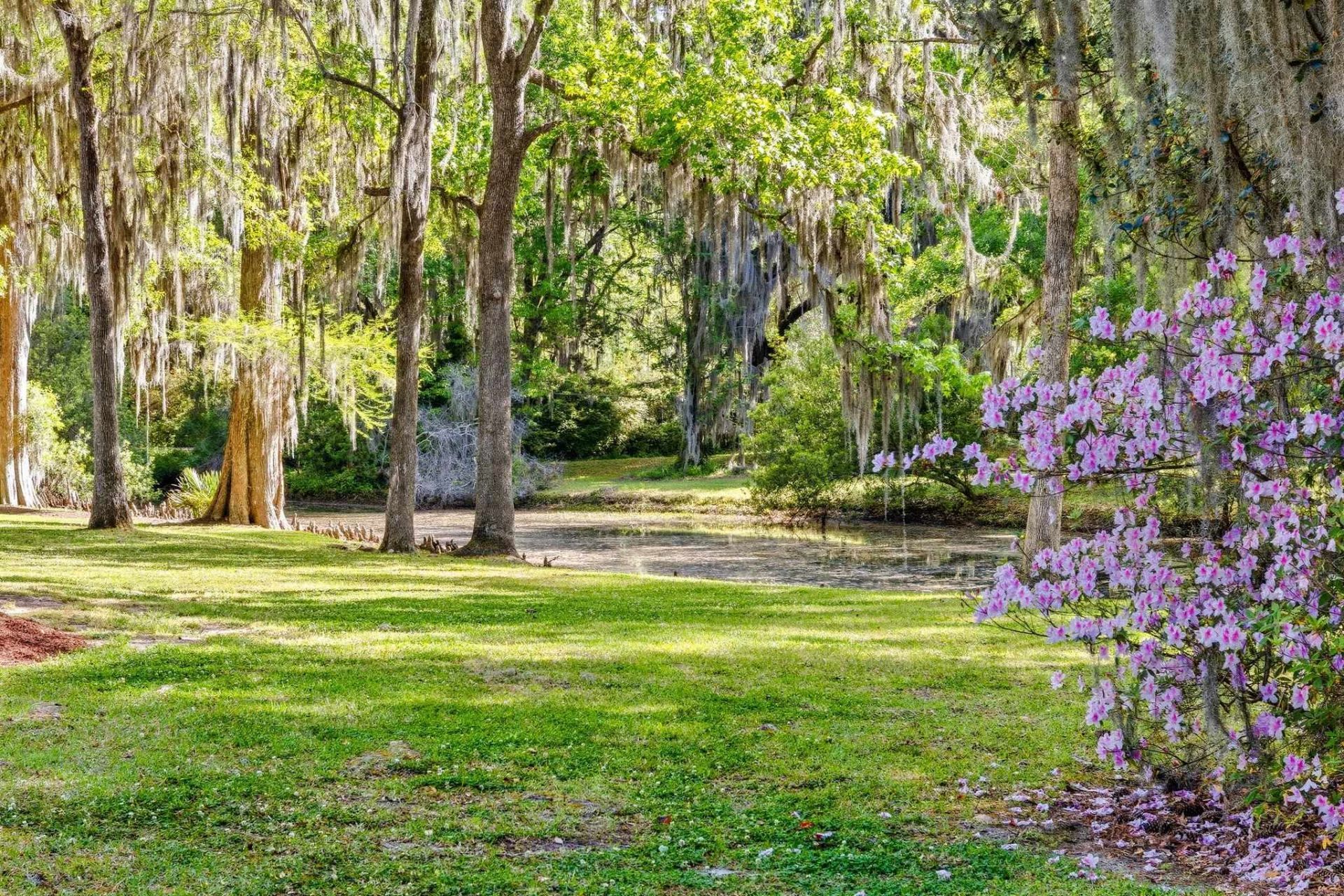 11 Chapel Creek Rd. Photo 58