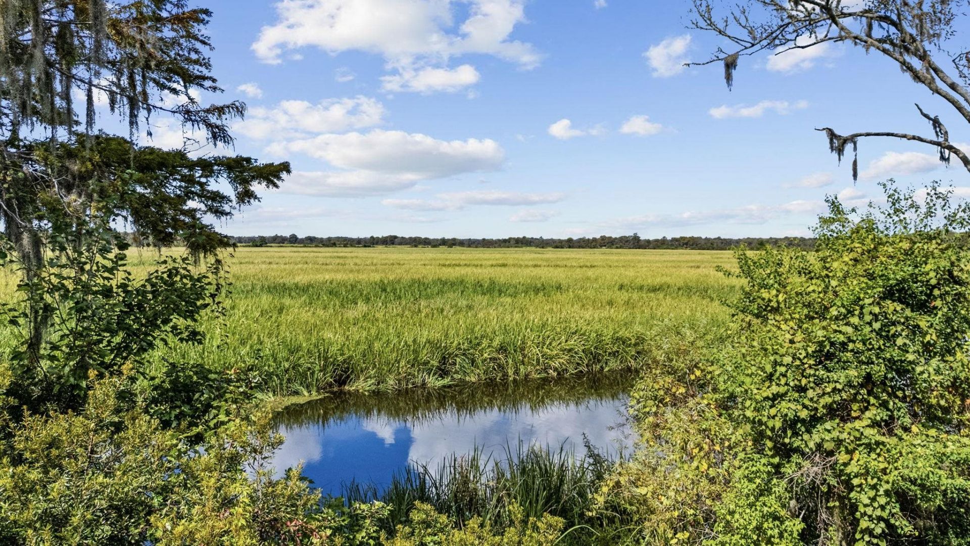 11 Chapel Creek Rd. Photo 68