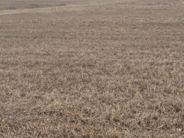 00000 243rd Street, McLouth, KS 66054