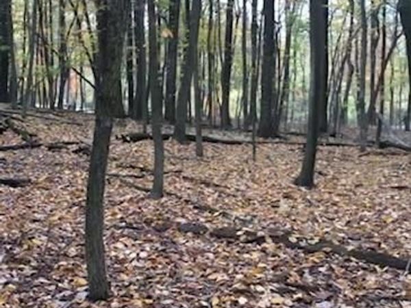 1490 TOWER ROAD , YORK, PA 17406