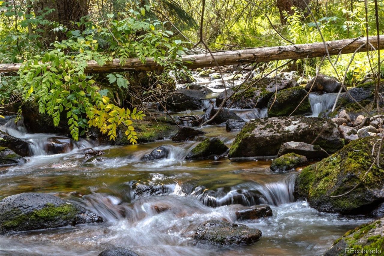 3648 County Road 8, Fraser, CO 80446 Main Photo