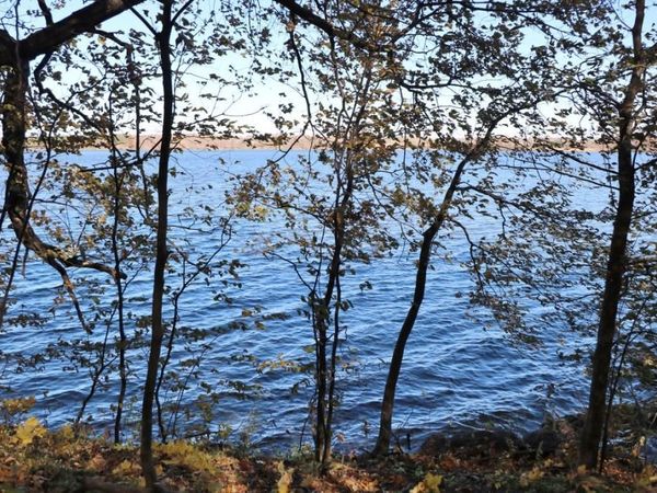 XXX7 Serenity Lane SW, Alexandria, MN 56308