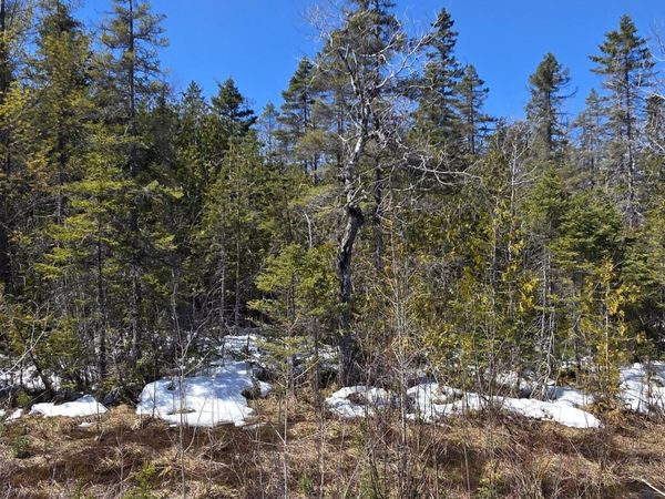 245 Winyah Drive, Alpena, MI 49707