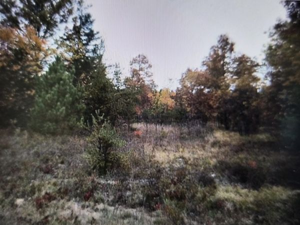 Lot 21 Northwood Drive, Grayling, MI 49738