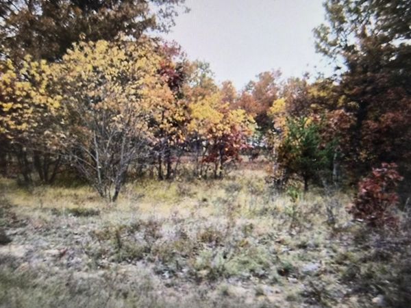 Lot 22 Northwood Drive, Grayling, MI 49738
