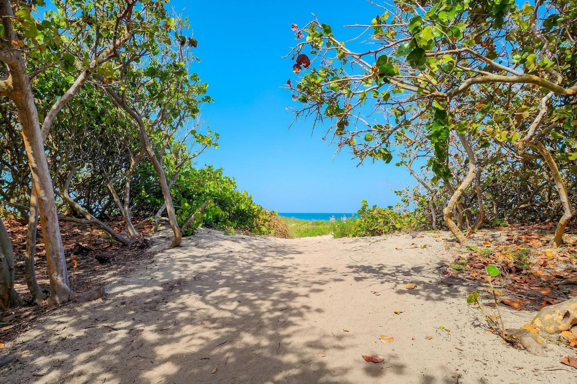 2929 SE Ocean Boulevard, Unit E4, Stuart, FL 34996 Photo