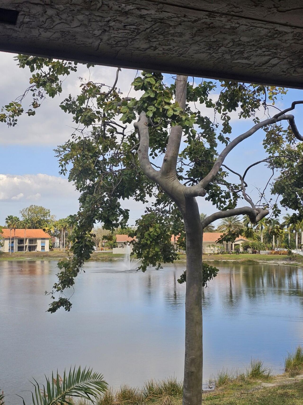 1520 Windorah Way, Unit H, West Palm Beach, FL 33411 Photo