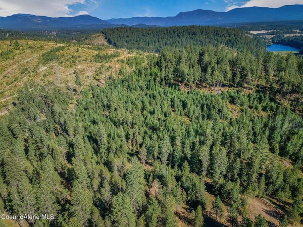 L1 Smokewood Dr, Athol, ID 83801