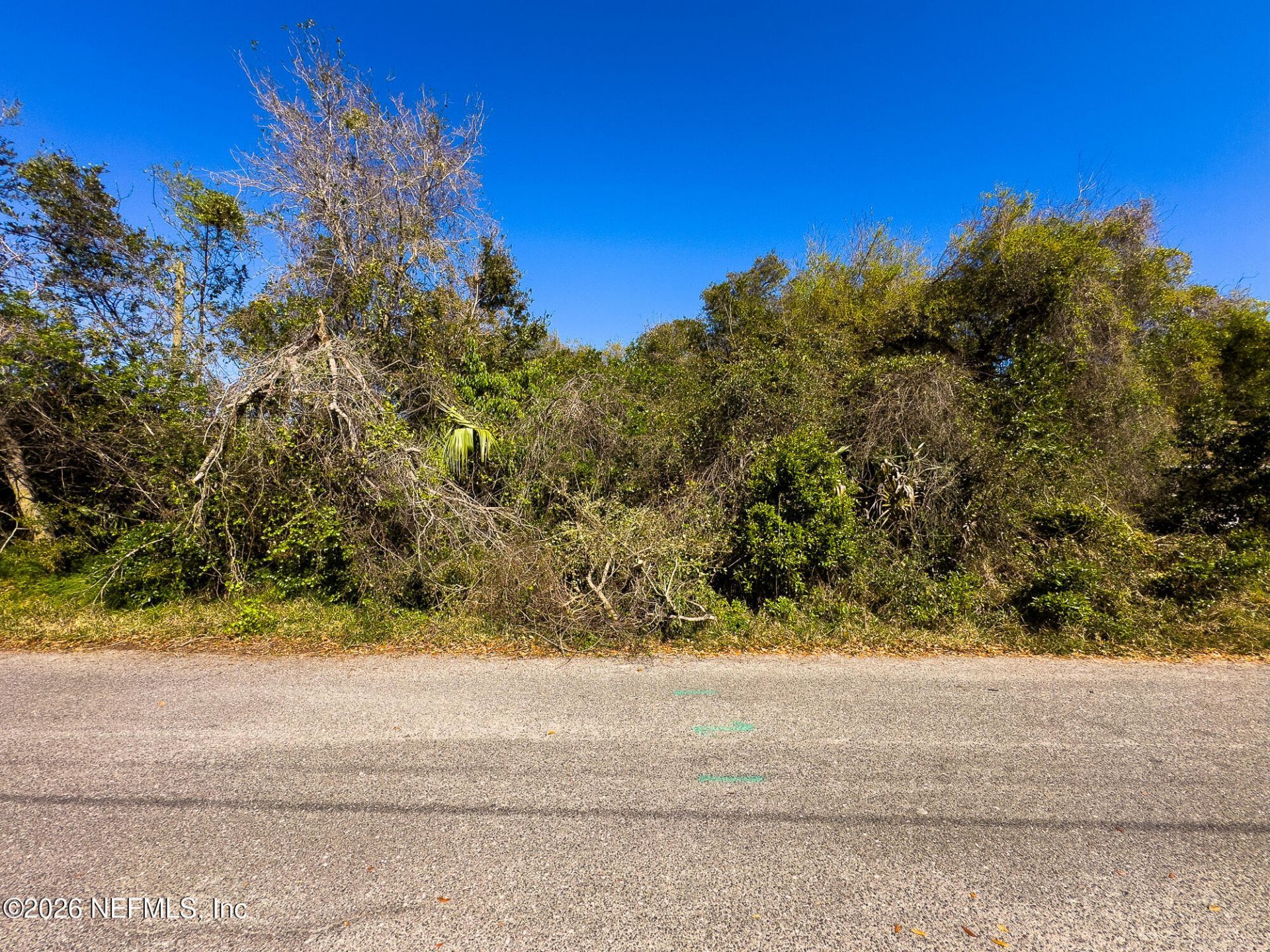 58 Atlantic Oaks Circle, Saint Augustine, FL 32080 Photo